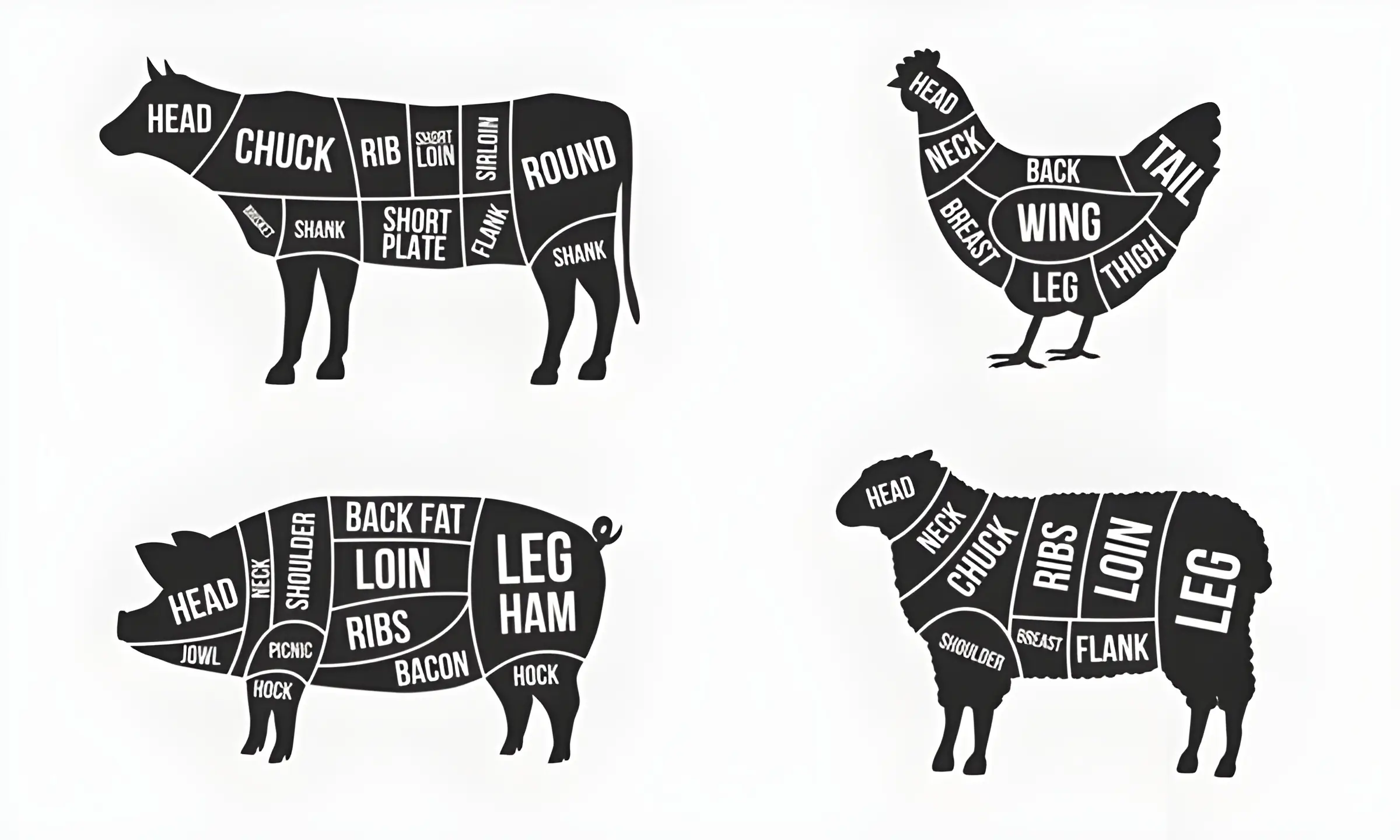 Comprehensive Meat Cuts Guide - Beef, Chicken, Pork, and Lamb