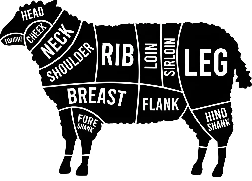 Lamb Cuts Diagram